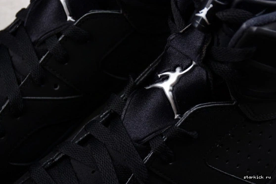 Silver Jordan Retro 6 DX2836-001 Metallic DX2836-001 0123